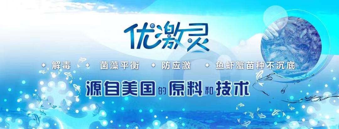 亘泰