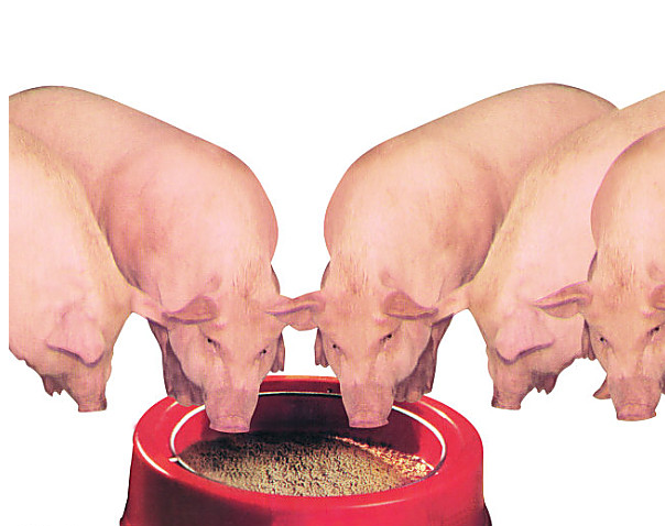 亘泰实业