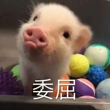 亘泰