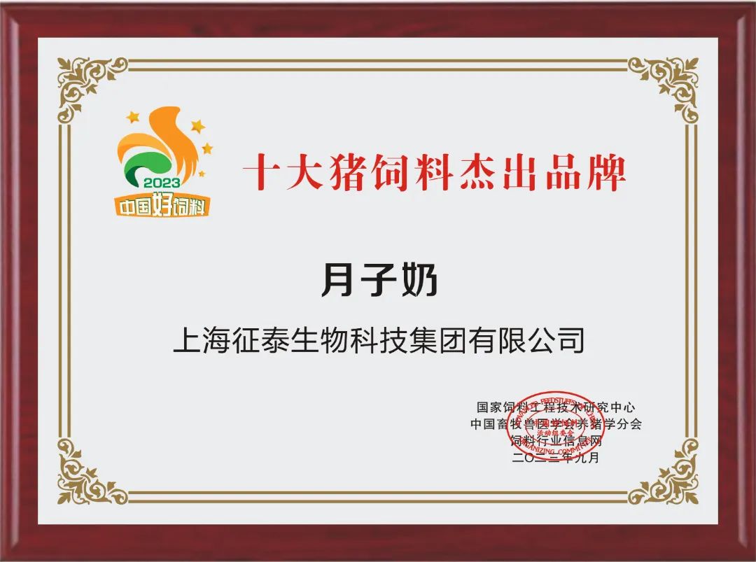 亘泰（集团动态)